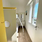 Apartmán Ivana -